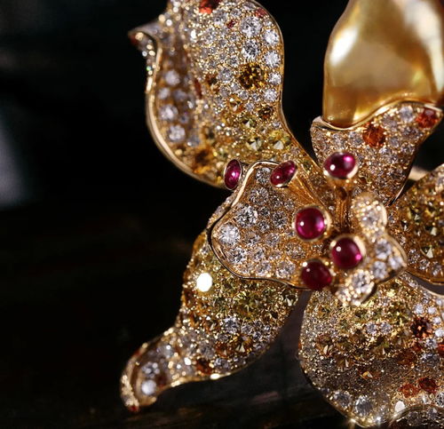 dgi独立珠宝首饰设计师联展 瑰丽珠宝