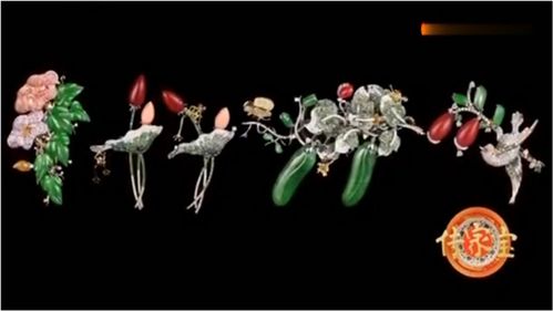 王刚的宝贝鉴定之旅 揭秘珠宝首饰中的精品